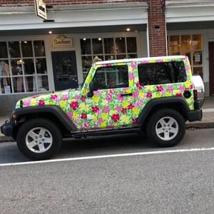 Meet your Posher, Susan